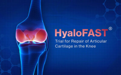 HyaloFAST® Trial for Repair of Articular Cartilage in the Knee