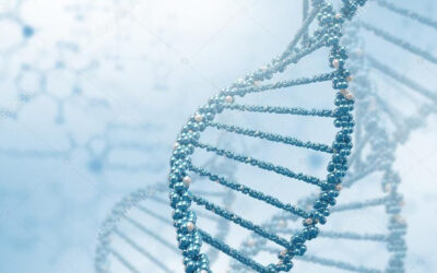 What is BMAC, and how can it help me?