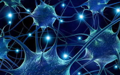 Various Benefits of Cell Therapy You Should Know